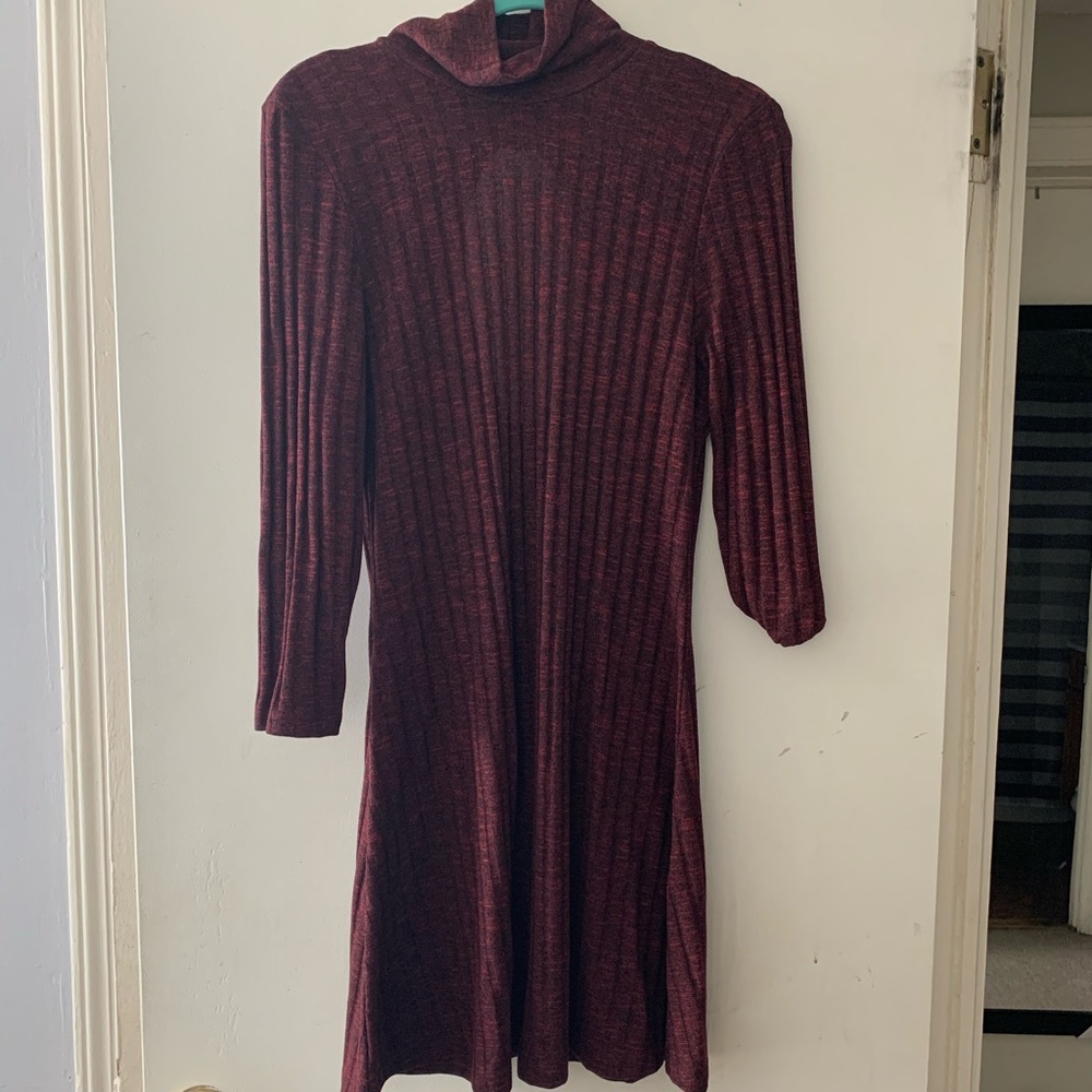 American Eagle Sweater Turtle Neck Dress